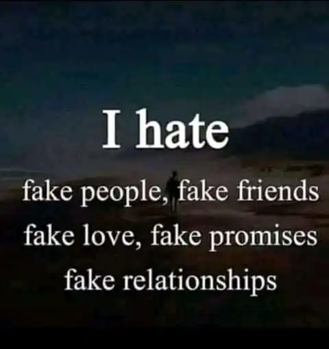 life dp quotes